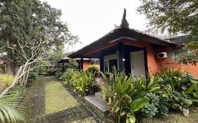 Batur Sunrise Guesthouse
